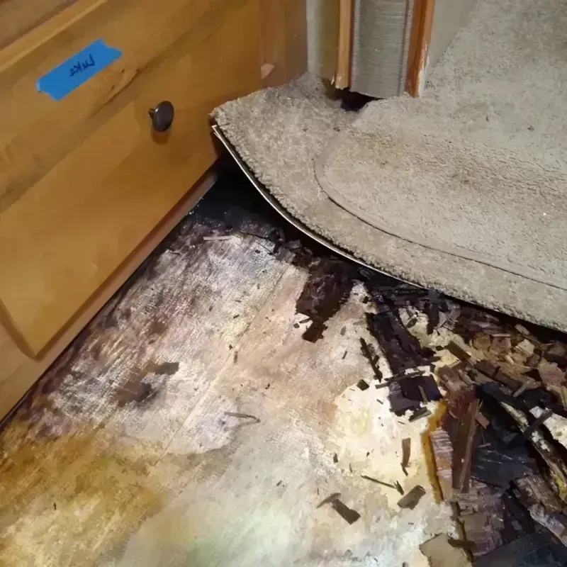 Wood Floor Water Damage in Fulton County, OH